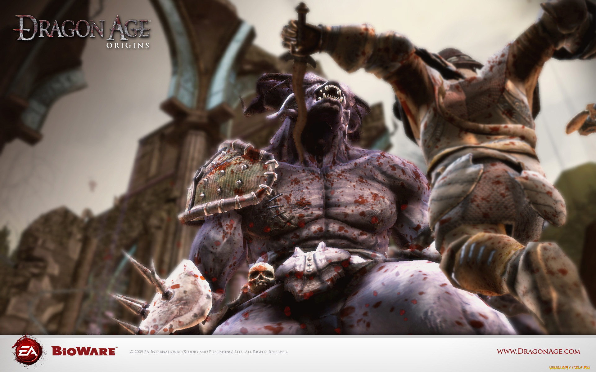 dragon, age, origins, , 
